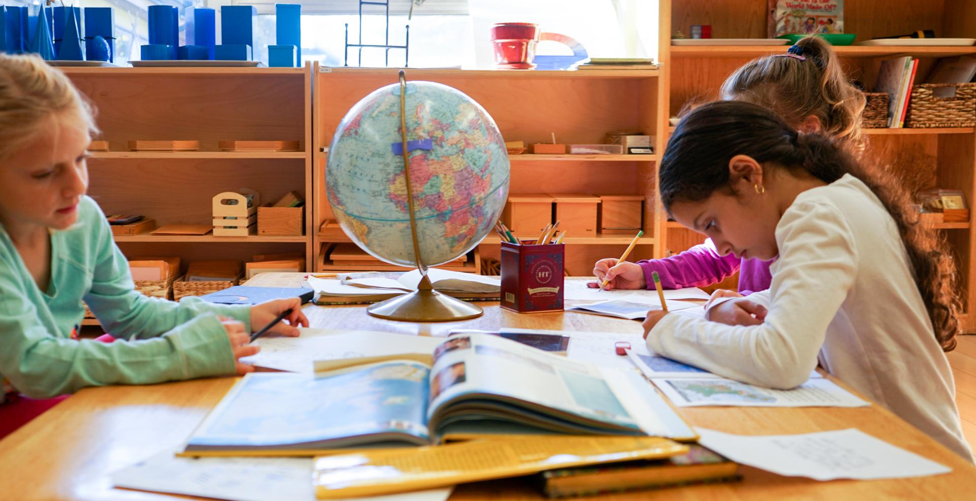 Social Learning Test Link Goes Here